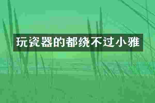 玩瓷器的都绕不过小雅