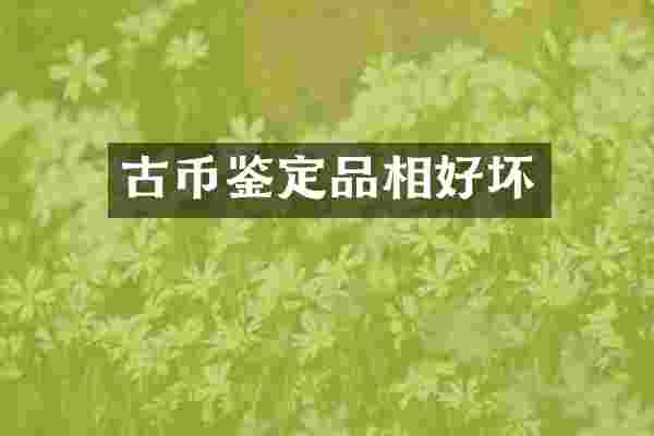 古币鉴定品相好坏