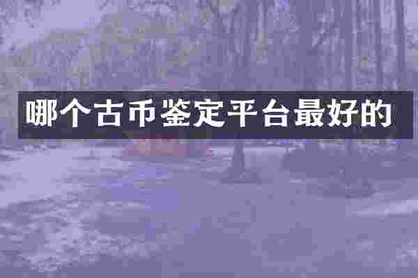 哪个古币鉴定平台最好的