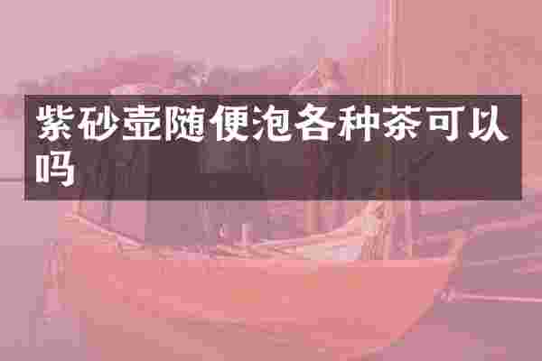 紫砂壶随便泡各种茶可以吗