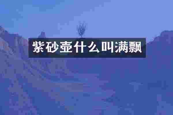 紫砂壶什么叫满飘