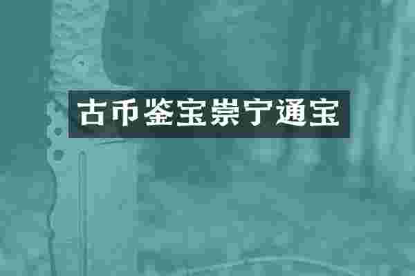 古币鉴宝崇宁通宝