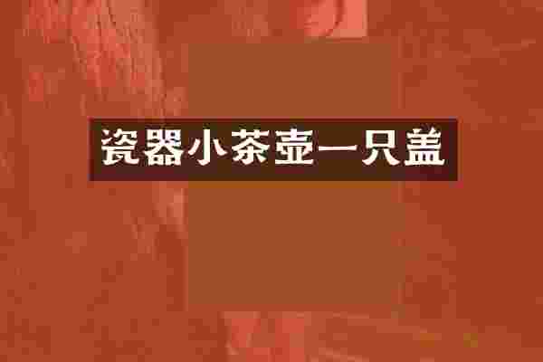瓷器小茶壶一只盖