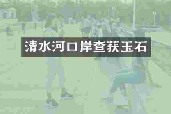 清水河口岸查获玉石