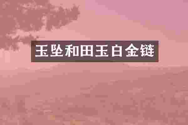 玉坠和田玉白金链