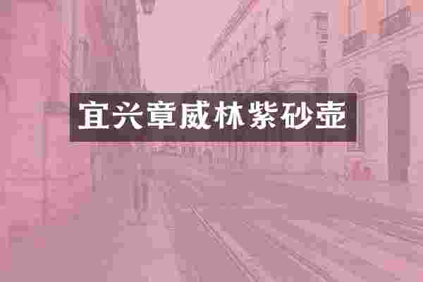 宜兴章威林紫砂壶