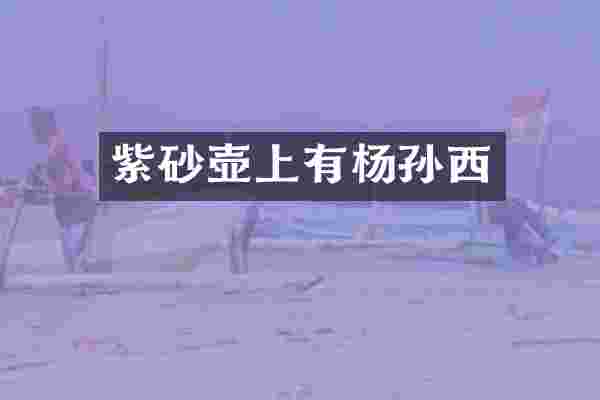 紫砂壶上有杨孙西
