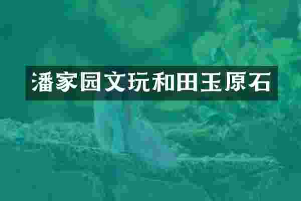 潘家园文玩和田玉原石