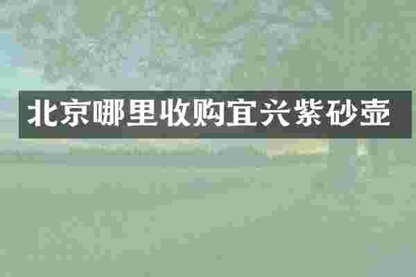 北京哪里收购宜兴紫砂壶
