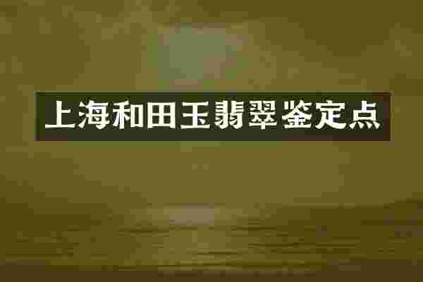 上海和田玉翡翠鉴定点