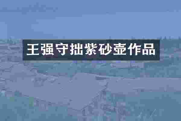 王强守拙紫砂壶作品