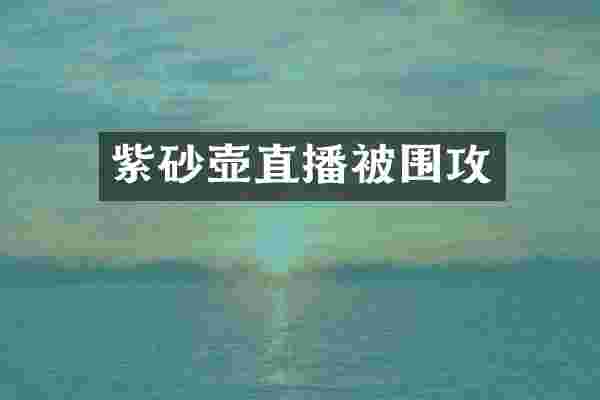 紫砂壶直播被围攻