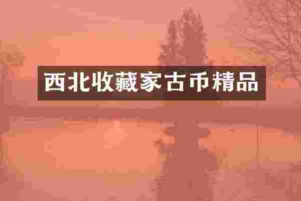 西北收藏家古币精品
