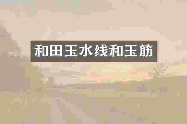 和田玉水线和玉筋