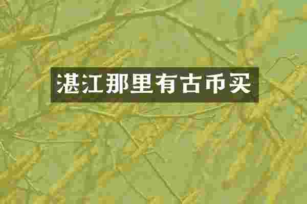 湛江那里有古币买