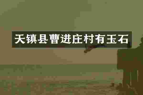 天镇县曹进庄村有玉石