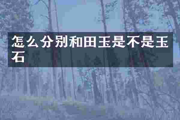 怎么分别和田玉是不是玉石
