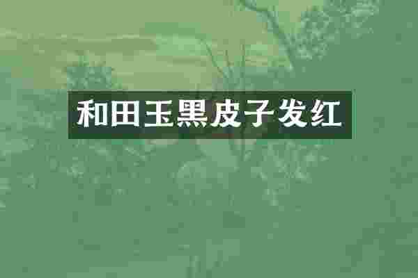 和田玉黑皮子发红