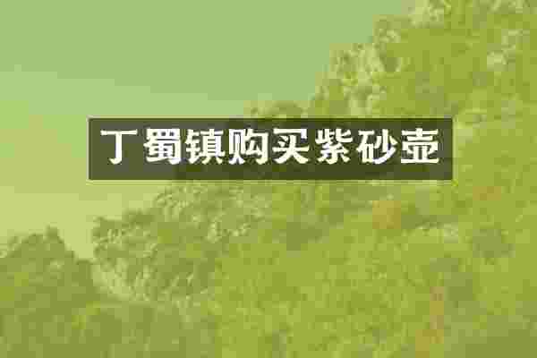丁蜀镇购买紫砂壶