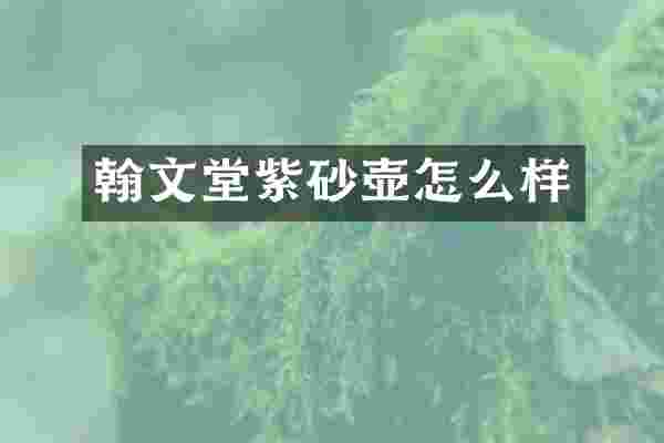 翰文堂紫砂壶怎么样