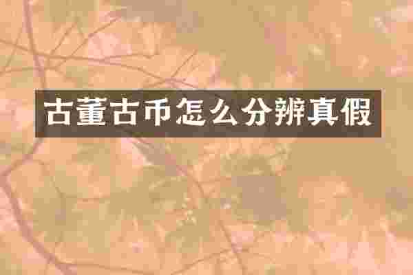 古董古币怎么分辨真假