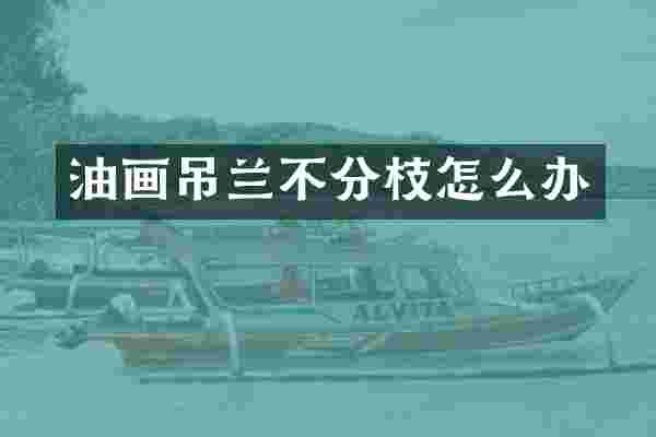 油画吊兰不分枝怎么办
