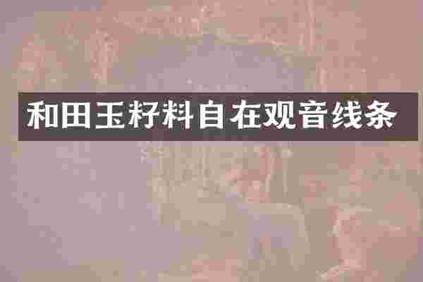 和田玉籽料自在观音线条