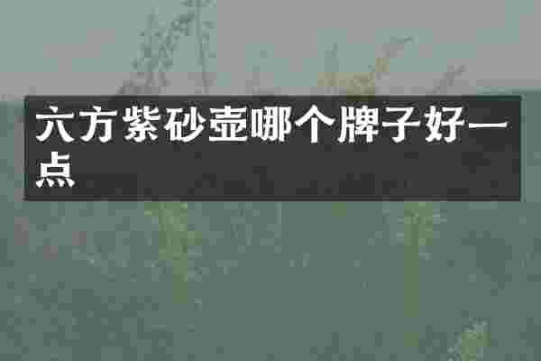 六方紫砂壶哪个牌子好一点