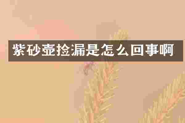 紫砂壶捡漏是怎么回事啊