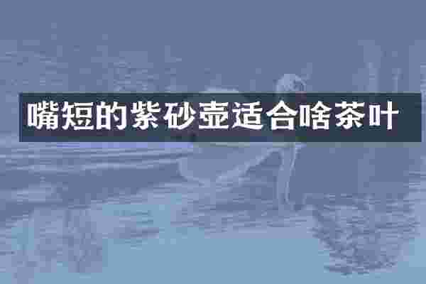 嘴短的紫砂壶适合啥茶叶
