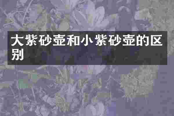 大紫砂壶和小紫砂壶的区别