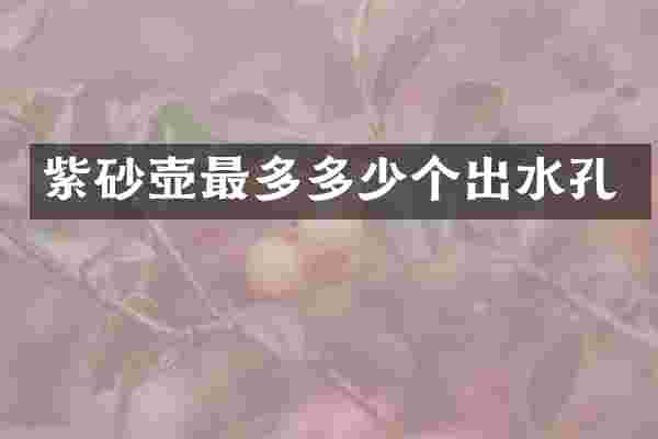 紫砂壶最多多少个出水孔