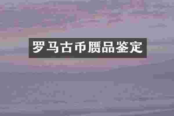 罗马古币赝品鉴定