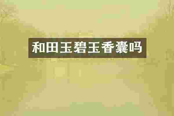 和田玉碧玉香囊吗