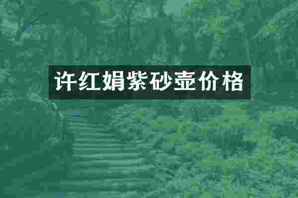 许红娟紫砂壶价格