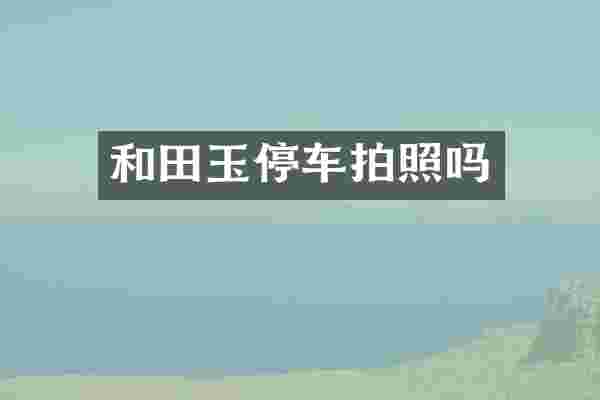 和田玉停车拍照吗
