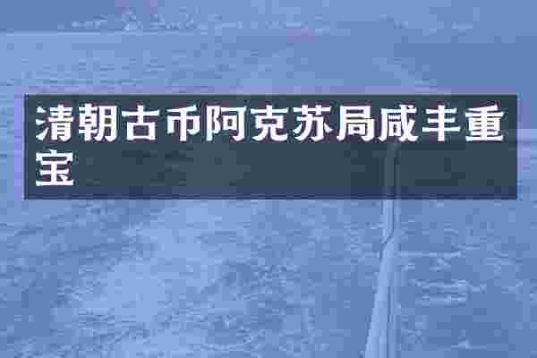 清朝古币阿克苏局咸丰重宝