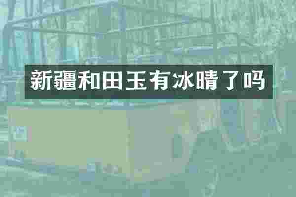 新疆和田玉有冰晴了吗