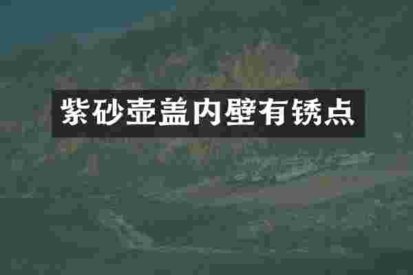 紫砂壶盖内壁有锈点