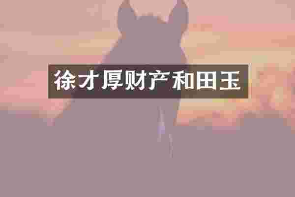 徐才厚财产和田玉