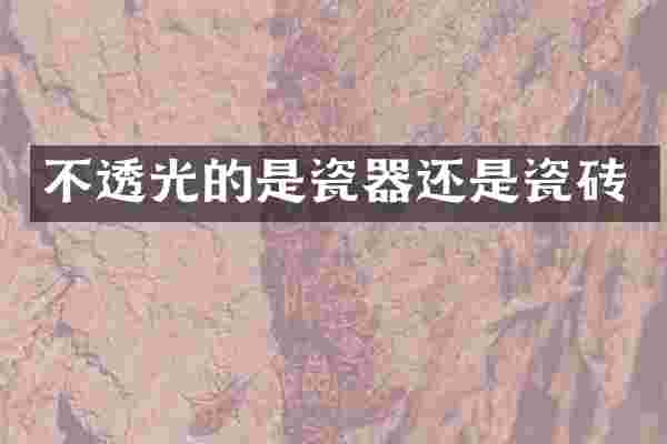 不透光的是瓷器还是瓷砖