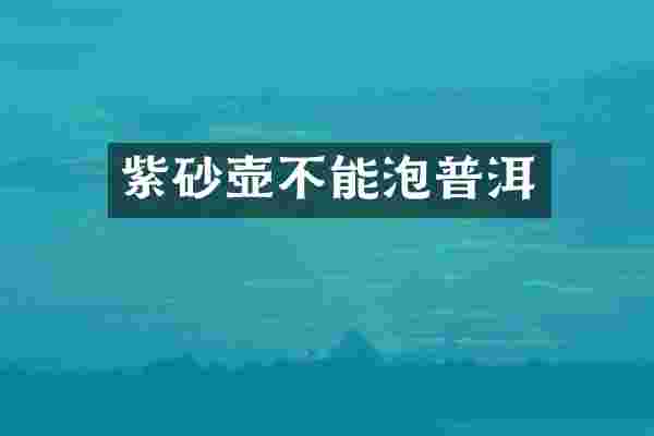 紫砂壶不能泡普洱
