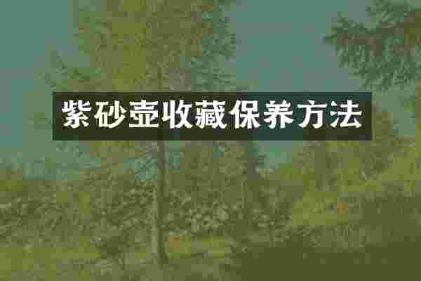 紫砂壶收藏保养方法