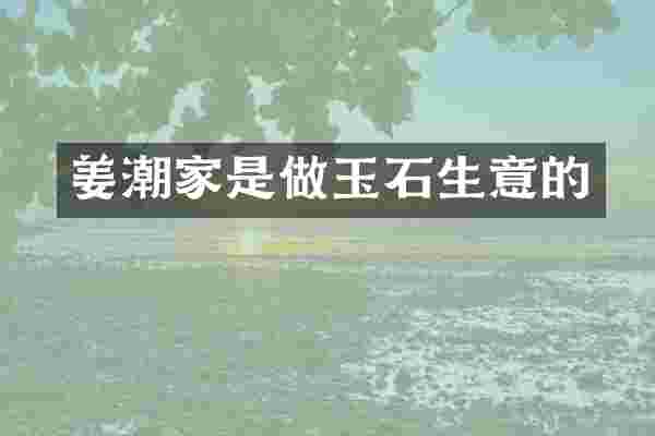 姜潮家是做玉石生意的
