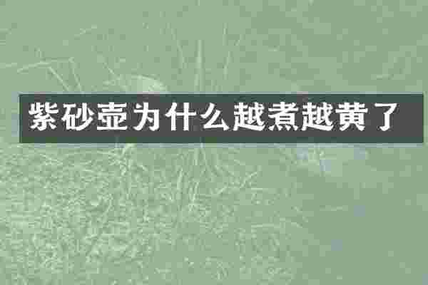 紫砂壶为什么越煮越黄了