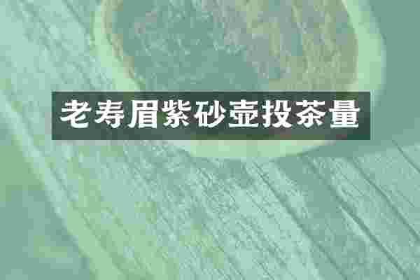老寿眉紫砂壶投茶量