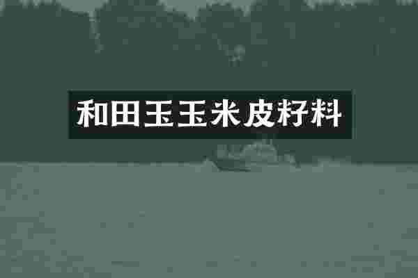 和田玉玉米皮籽料