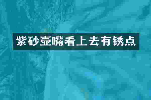 紫砂壶嘴看上去有锈点
