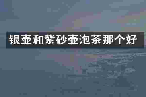 银壶和紫砂壶泡茶那个好