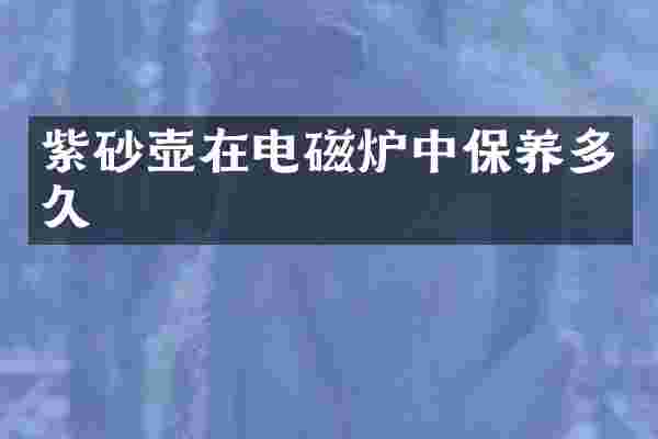 紫砂壶在电磁炉中保养多久